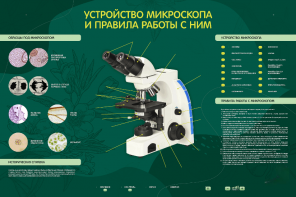 Электрифицированный стенд "Устройство микроскопа и правила работы c ним" - fgospostavki.ru - Апрелевка