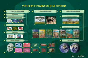 Электрифицированный стенд "Уровни организации жизни" - fgospostavki.ru - Апрелевка