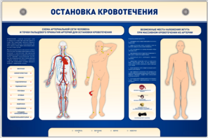 Электрифицированный стенд-тренажер "Остановка кровотечения" - fgospostavki.ru - Апрелевка