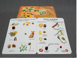 Коллекция "Семена и плоды" - fgospostavki.ru - Апрелевка