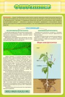 Стенд "Фотосинтез" - fgospostavki.ru - Апрелевка