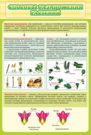 Стенд "Способы размножения растений" - fgospostavki.ru - Апрелевка