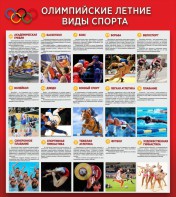 Стенд "Олимпийские летние виды спорта" - fgospostavki.ru - Апрелевка