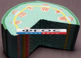 Модель "Стебель растения" - fgospostavki.ru - Апрелевка