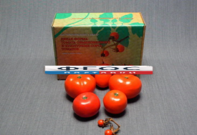 Набор муляжей "Дикая форма и культурные сорта томатов" - fgospostavki.ru - Апрелевка