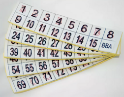 Фишки для игры «Бинго» со шрифтом Брайля - fgospostavki.ru - Апрелевка