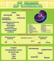 Стенд "От клетки до организма" - fgospostavki.ru - Апрелевка