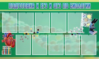 Стенд "Подготовка к ЕГЭ и ОГЭ по биологии" Вариант 2 - fgospostavki.ru - Апрелевка