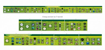 Стенд "Классификация групп животных" - fgospostavki.ru - Апрелевка