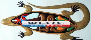 Модель барельефная "Внутреннее строение ящерицы" - fgospostavki.ru - Апрелевка