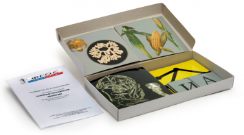 Модель-аппликация "Основные направления эволюции" (набор из 33 карт) - fgospostavki.ru - Апрелевка