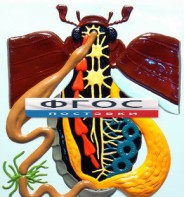 Модель барельефная "Внутреннее строение жука" - fgospostavki.ru - Апрелевка