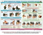 Комплект плакатов "Оказание первой доврачебной медицинской помощи" - fgospostavki.ru - Апрелевка