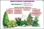 Комплект кодотранспарантов "Культурные растения" - fgospostavki.ru - Апрелевка