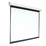 Экран настенный с электроприводом DSEF-16909 - fgospostavki.ru - Апрелевка