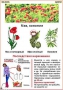 Комплект кодотранспарантов "Ядовитые растения" - fgospostavki.ru - Апрелевка